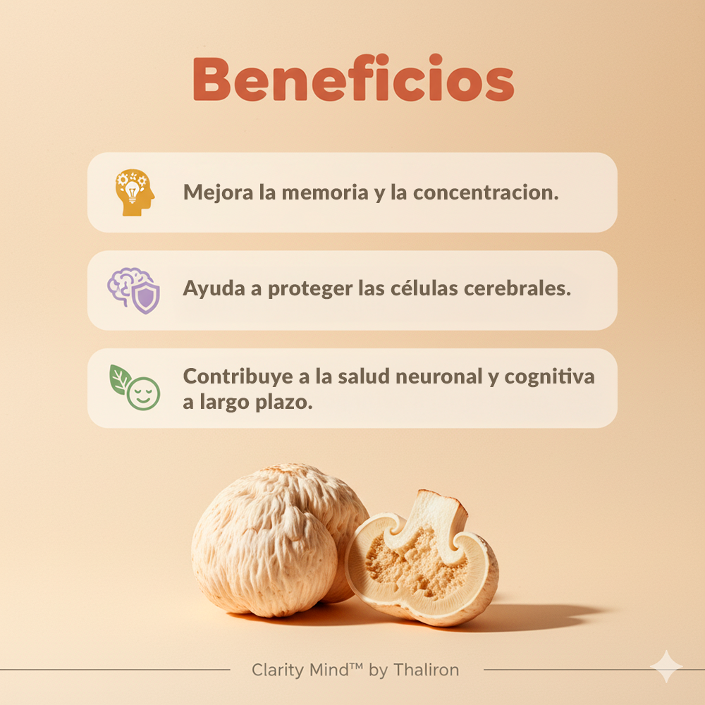 Melena de León - 60 Cápsulas - 300mg